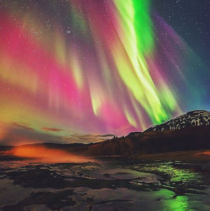 Meet your Posher, Maggie